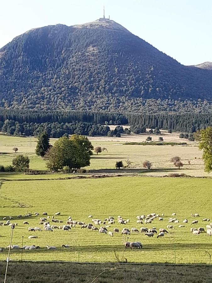 A 5 Mns Du Puy De Dome Avec Vue Imprenable Studio Rez De Jardin 24M2 Neuf A Laschamps Saint-Genès-Champanelle Exteriör bild